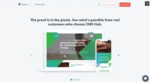 Responsive website design